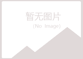 水城县夏岚咨询有限公司